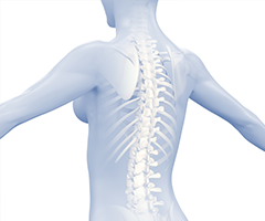 解剖学・生理学を徹底して学んだからできること