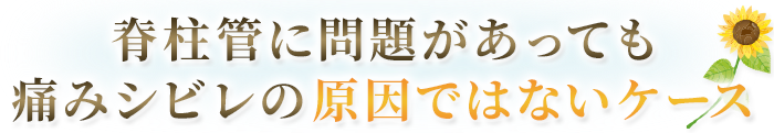 脊柱管に問題があっても痛みシビレの原因ではないケース