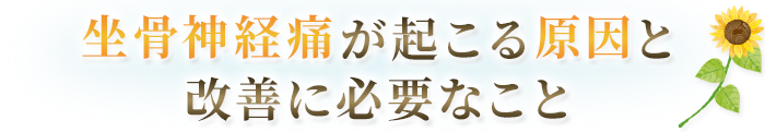 坐骨神経痛が起こる原因と改善に必要なこと